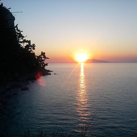 B&B Palazzo A Mare Capri Luaran gambar