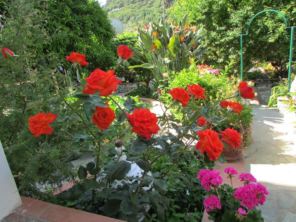B&B Palazzo A Mare Capri Luaran gambar