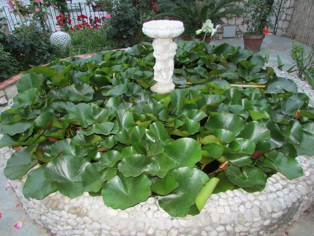 B&B Palazzo A Mare Capri Luaran gambar