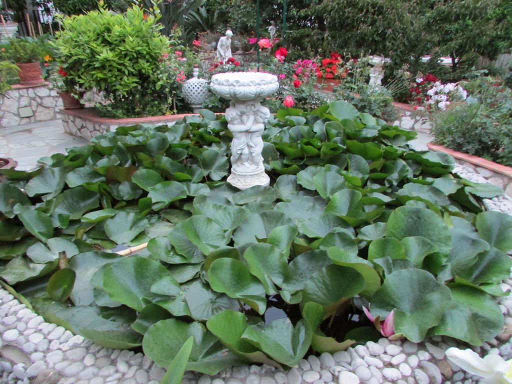 B&B Palazzo A Mare Capri Luaran gambar