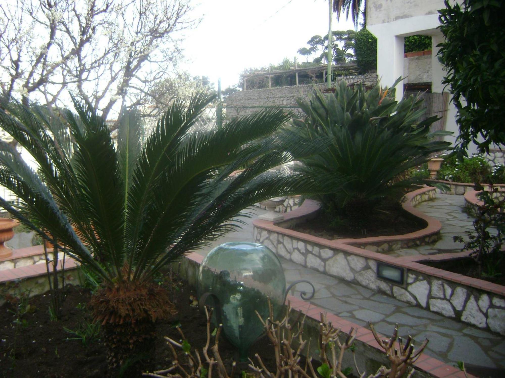 B&B Palazzo A Mare Capri Luaran gambar