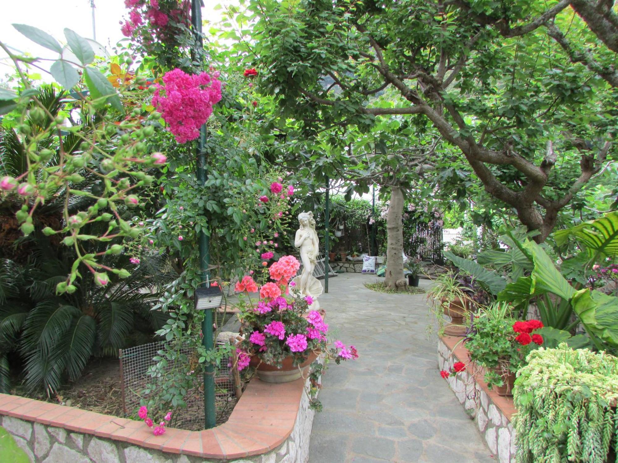 B&B Palazzo A Mare Capri Luaran gambar
