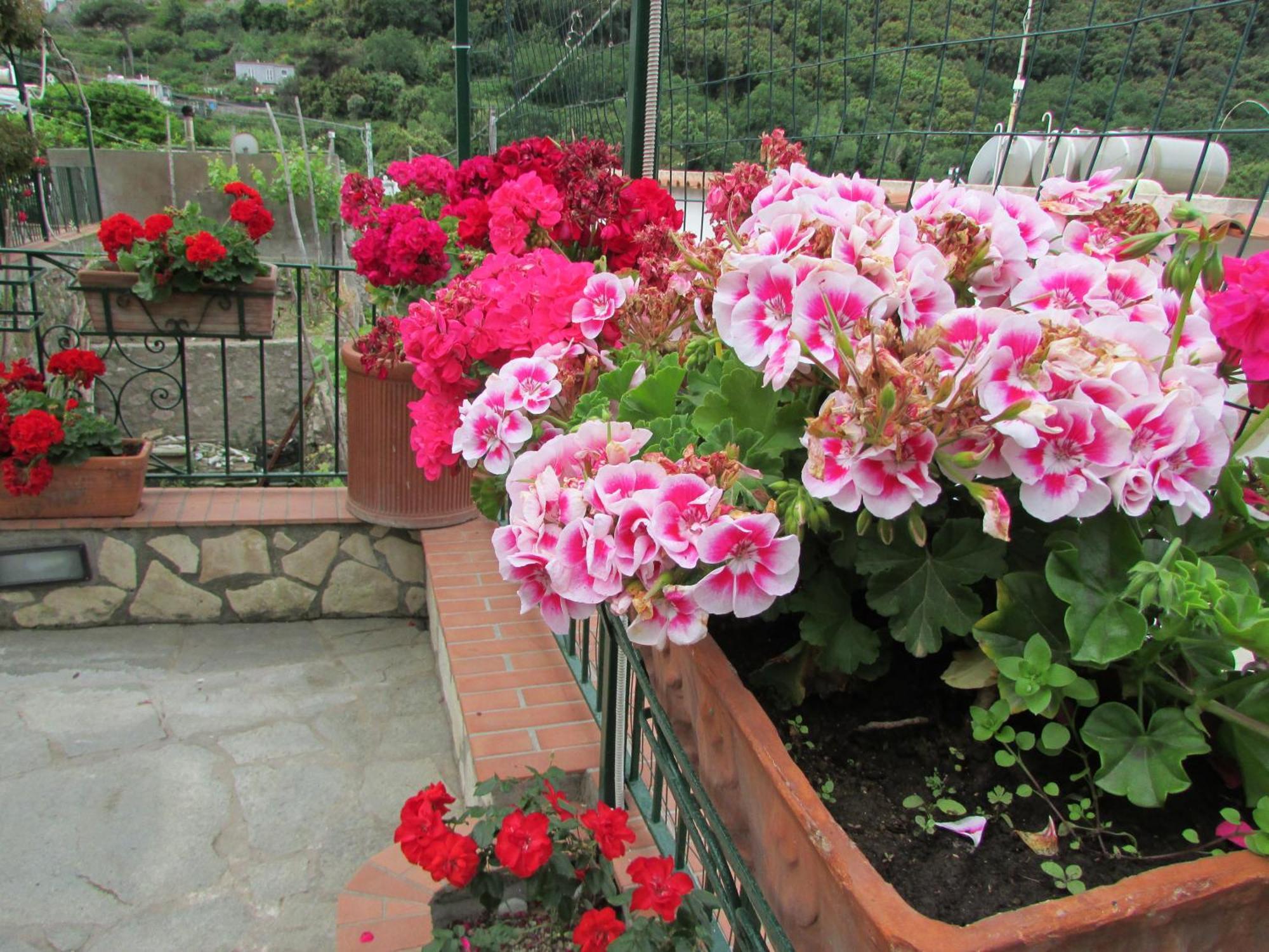 B&B Palazzo A Mare Capri Luaran gambar