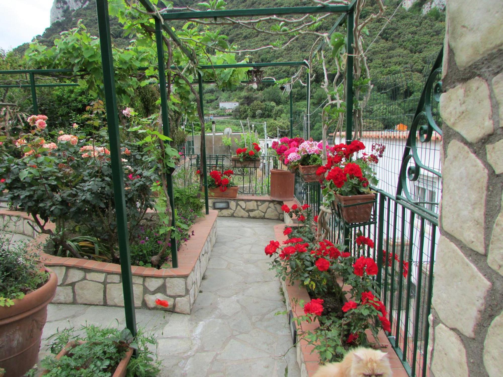 B&B Palazzo A Mare Capri Luaran gambar