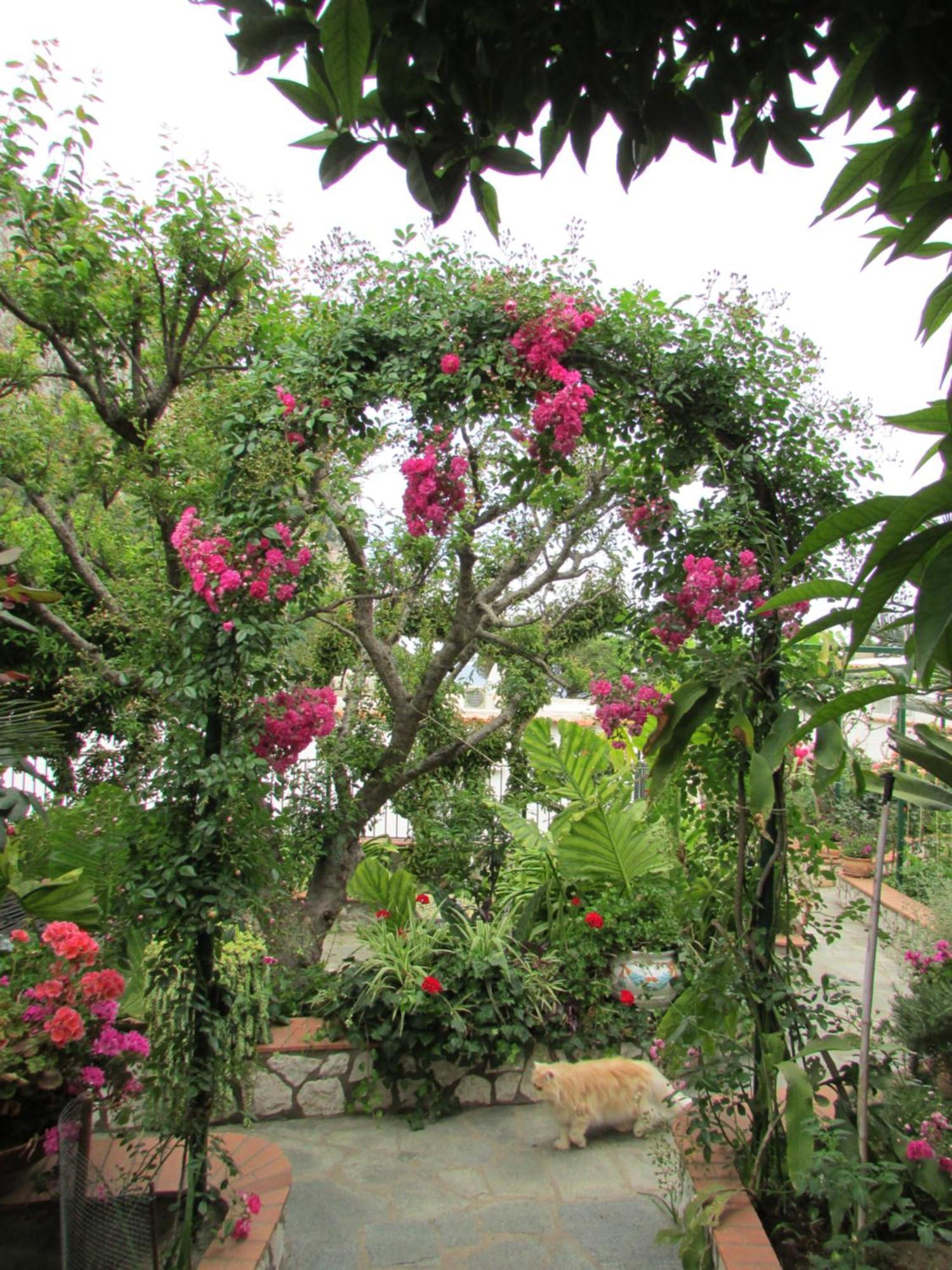 B&B Palazzo A Mare Capri Luaran gambar