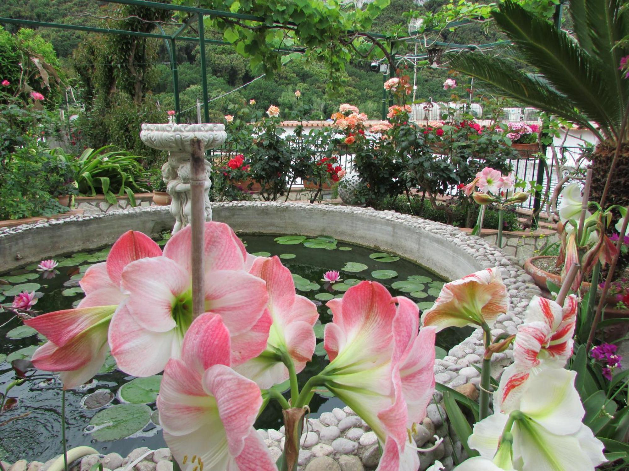 B&B Palazzo A Mare Capri Luaran gambar