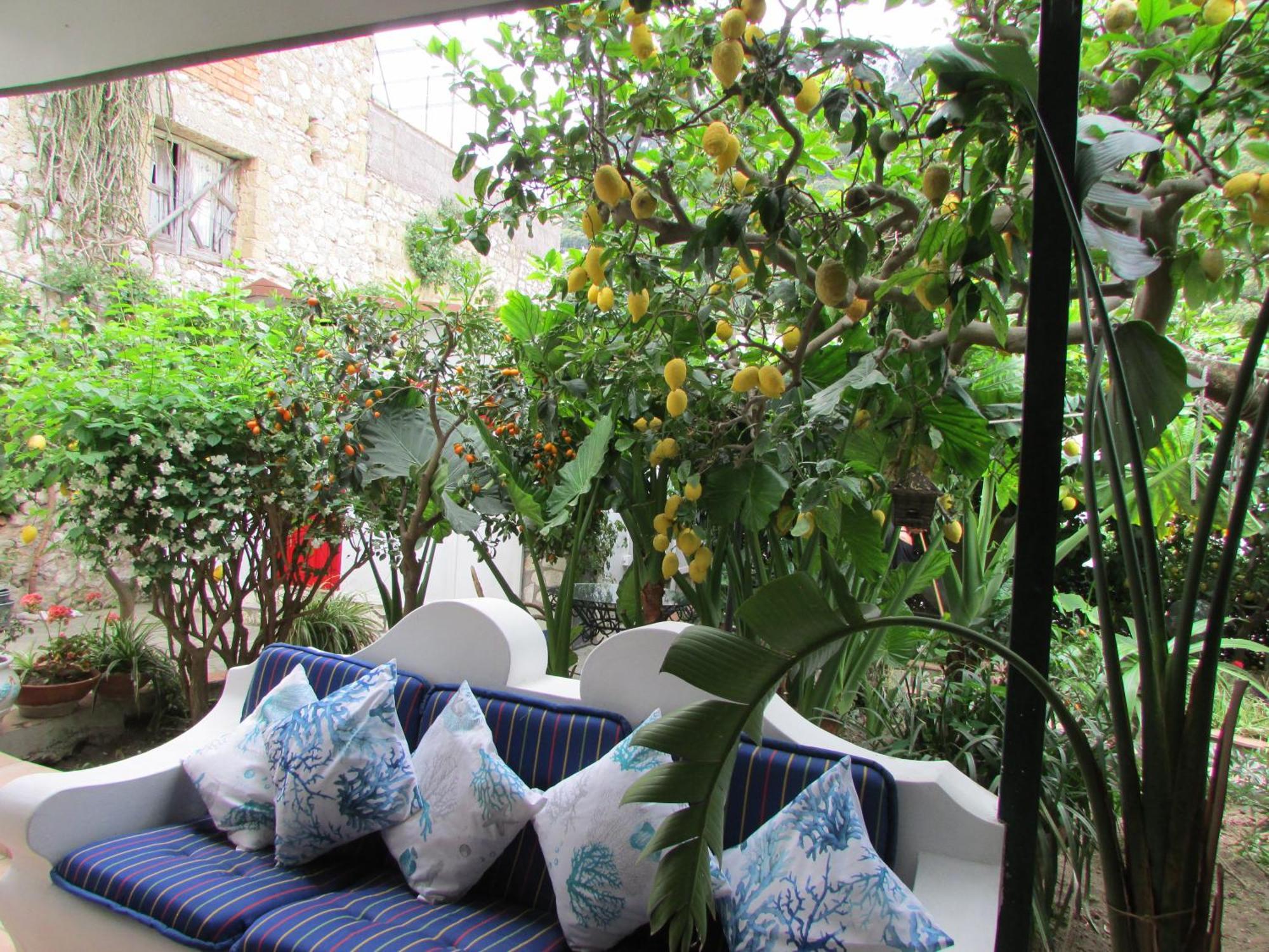 B&B Palazzo A Mare Capri Luaran gambar