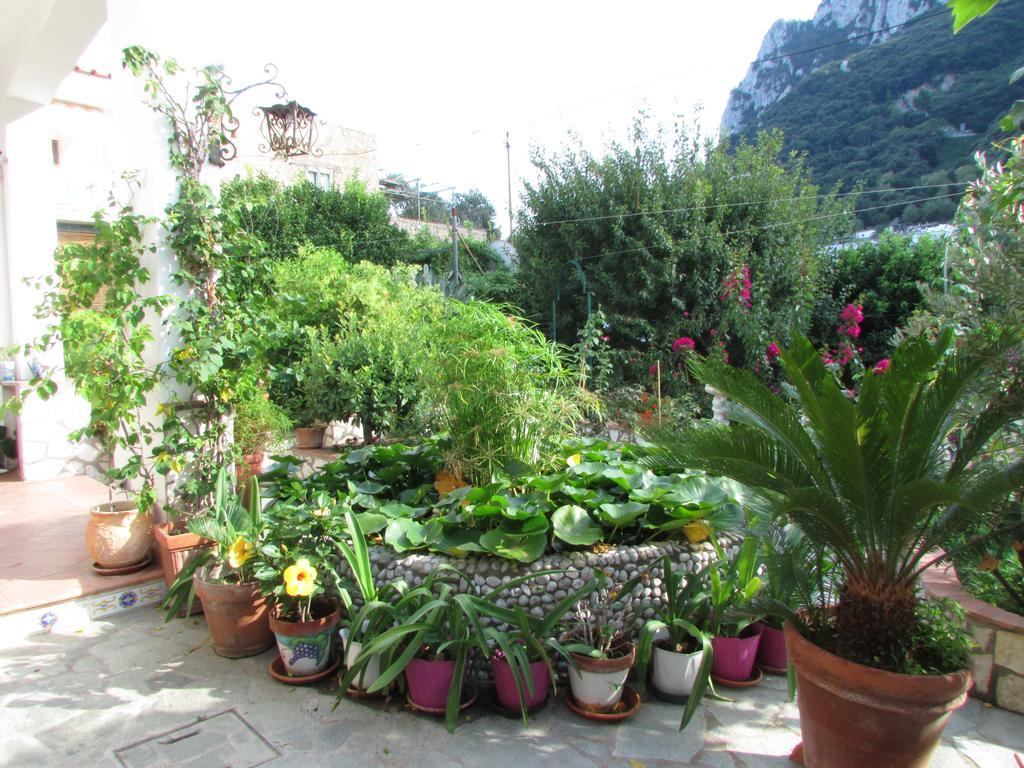 B&B Palazzo A Mare Capri Luaran gambar