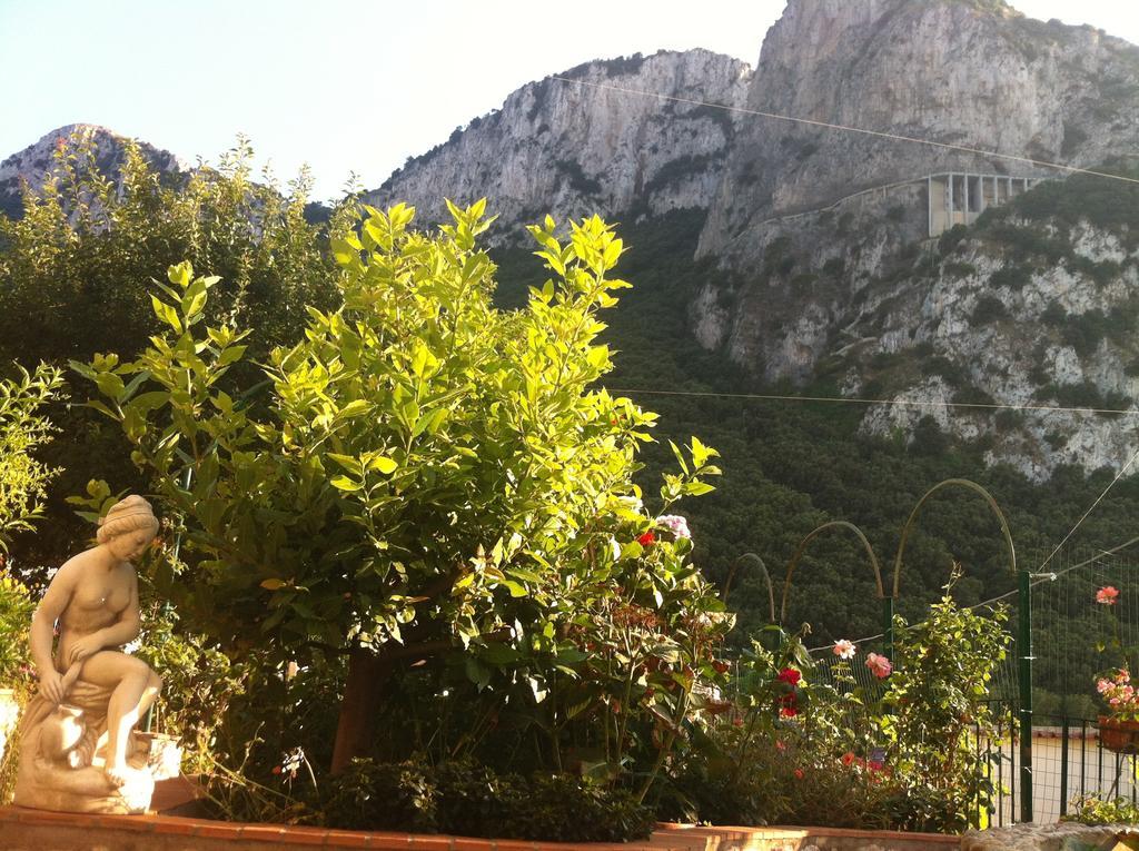 B&B Palazzo A Mare Capri Luaran gambar
